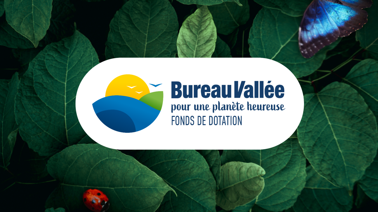 Fonds de dotation Bureau Vallée